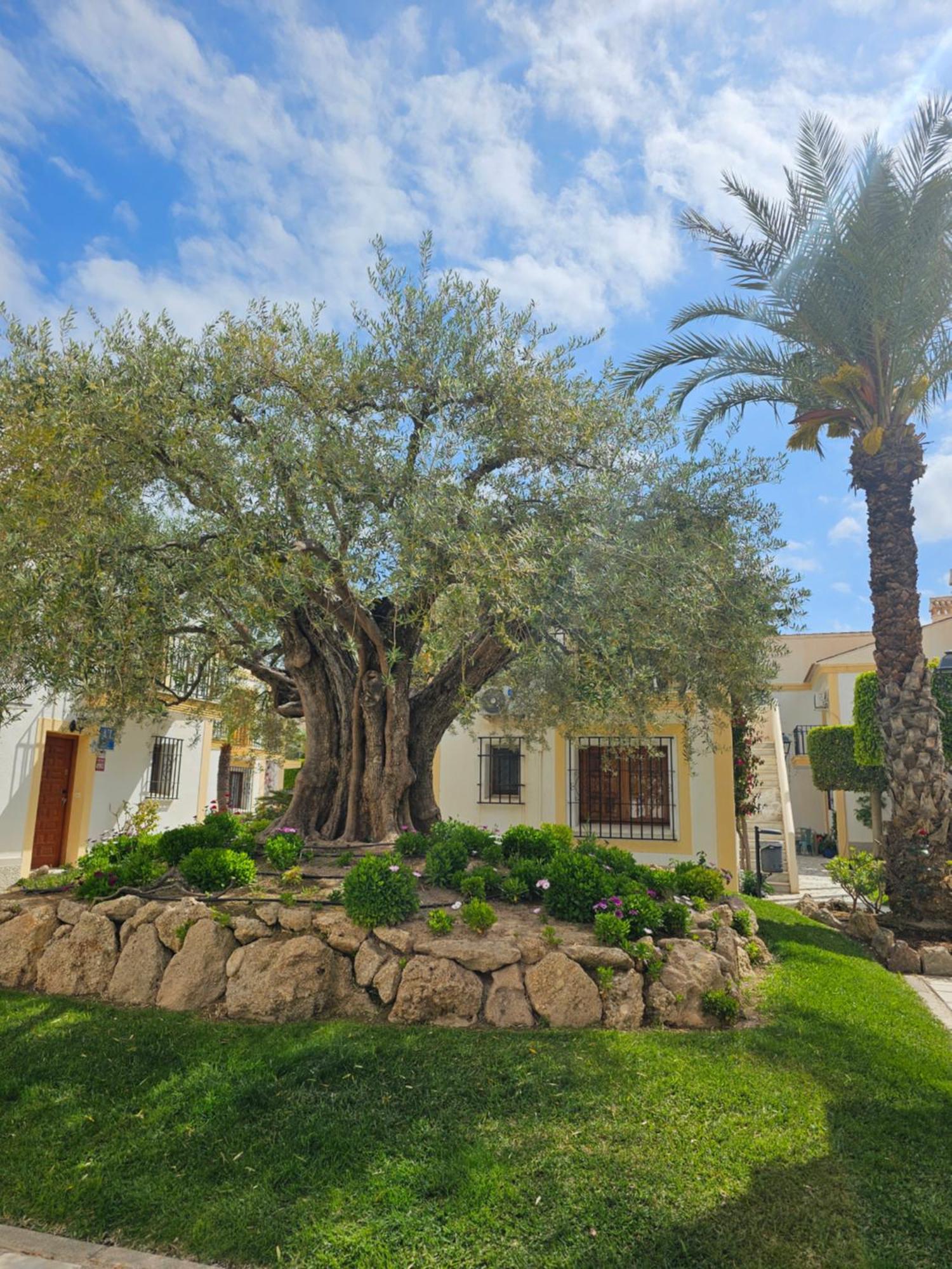 Apartamento Vera Coast 123 Playas de Vera Экстерьер фото