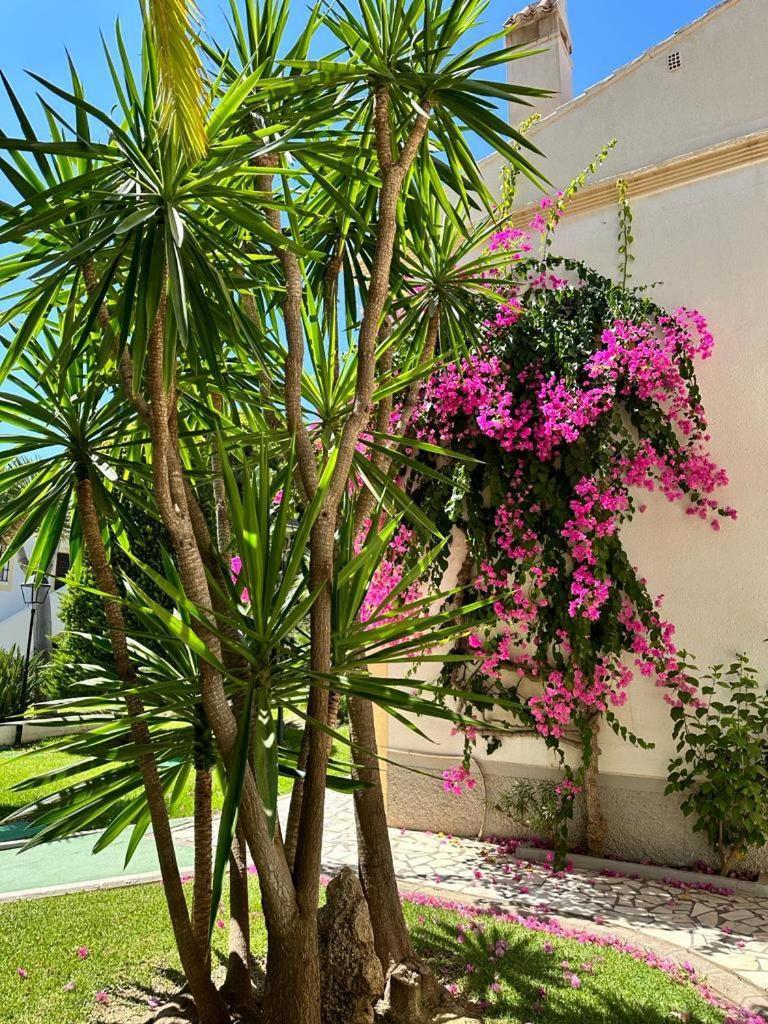 Apartamento Vera Coast 123 Playas de Vera Экстерьер фото